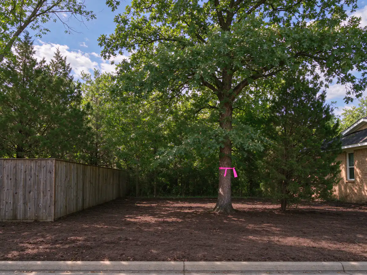 Same lot cleared to bare clay with the keeper post oak fenced at its drip line (representative after)
