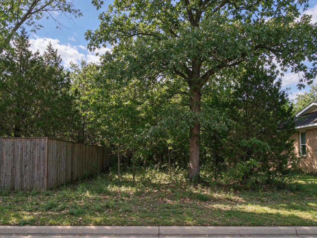 Wooded residential lot thick with cedar, hackberry and brush around a large post oak (representative before)